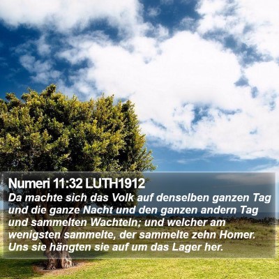 Numeri 11:32 LUTH1912 Bible Verse Image
