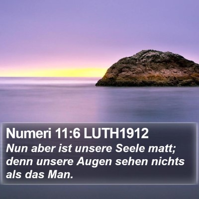 Numeri 11:6 LUTH1912 Bible Verse Image