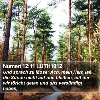 Numeri 12:11 LUTH1912 Bible Verse Image