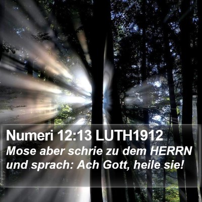 Numeri 12:13 LUTH1912 Bible Verse Image