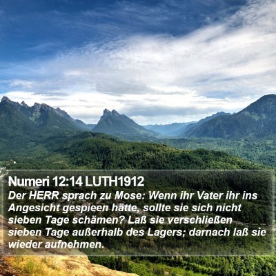 Numeri 12:14 LUTH1912 Bible Verse Image