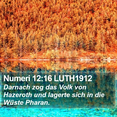 Numeri 12:16 LUTH1912 Bible Verse Image