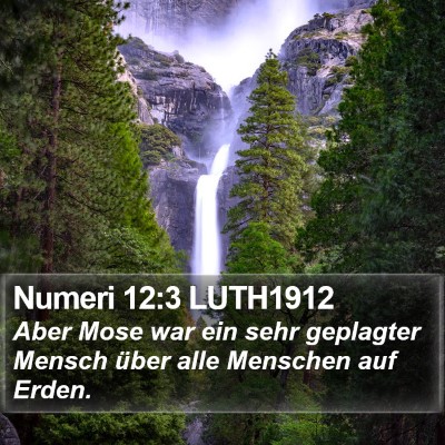 Numeri 12:3 LUTH1912 Bible Verse Image