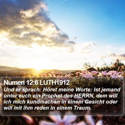 Numeri 12:6 LUTH1912 Bible Verse Image