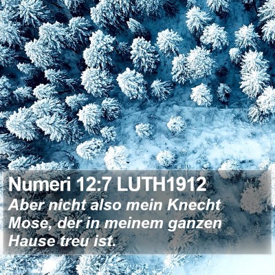 Numeri 12:7 LUTH1912 Bible Verse Image