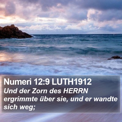 Numeri 12:9 LUTH1912 Bible Verse Image