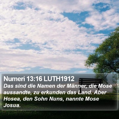 Numeri 13:16 LUTH1912 Bible Verse Image