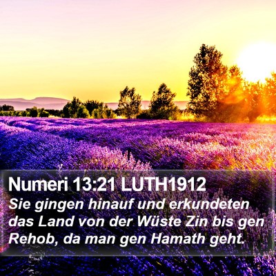Numeri 13:21 LUTH1912 Bible Verse Image