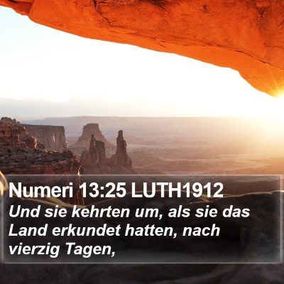 Numeri 13:25 LUTH1912 Bible Verse Image