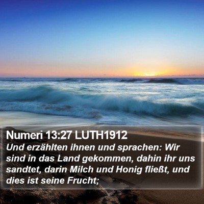 Numeri 13:27 LUTH1912 Bible Verse Image