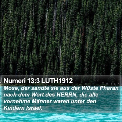 Numeri 13:3 LUTH1912 Bible Verse Image