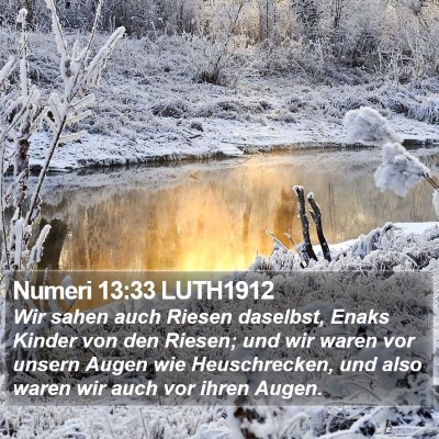 Numeri 13:33 LUTH1912 Bible Verse Image