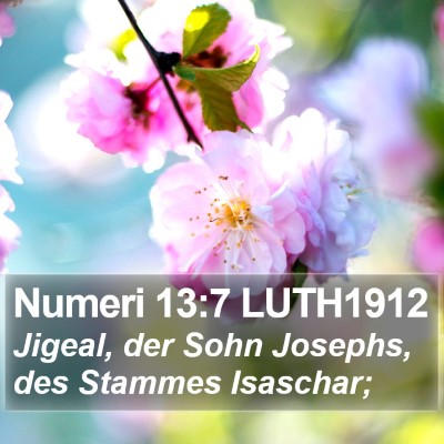 Numeri 13:7 LUTH1912 Bible Verse Image