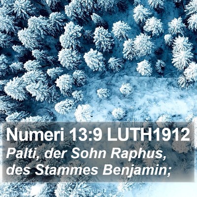 Numeri 13:9 LUTH1912 Bible Verse Image