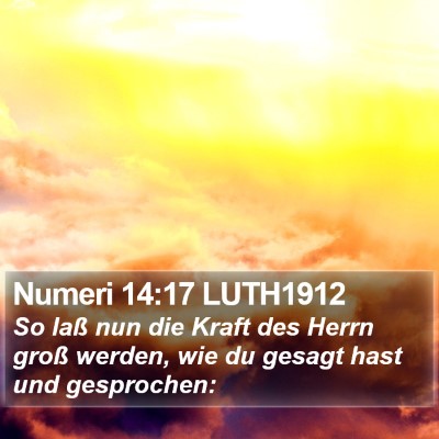 Numeri 14:17 LUTH1912 Bible Verse Image