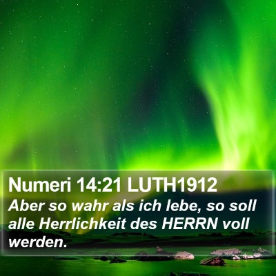 Numeri 14:21 LUTH1912 Bible Verse Image