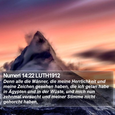 Numeri 14:22 LUTH1912 Bible Verse Image