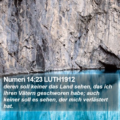 Numeri 14:23 LUTH1912 Bible Verse Image