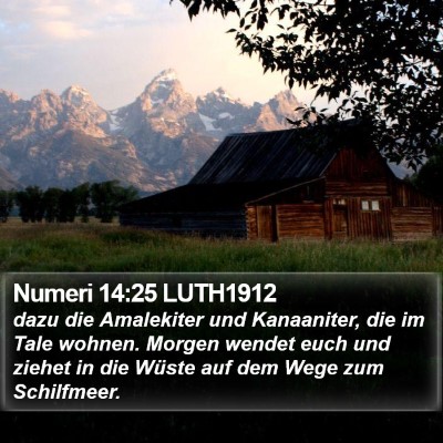 Numeri 14:25 LUTH1912 Bible Verse Image