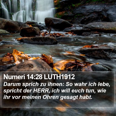 Numeri 14:28 LUTH1912 Bible Verse Image