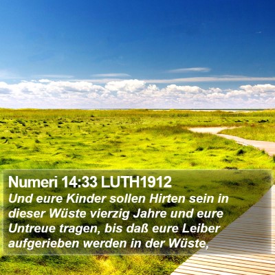 Numeri 14:33 LUTH1912 Bible Verse Image