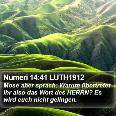 Numeri 14:41 LUTH1912 Bible Verse Image