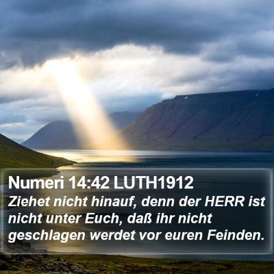 Numeri 14:42 LUTH1912 Bible Verse Image