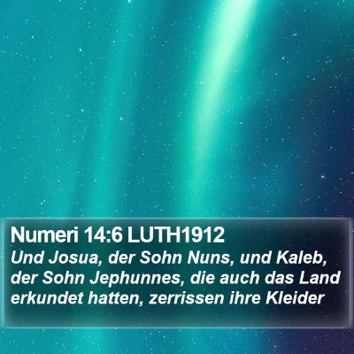 Numeri 14:6 LUTH1912 Bible Verse Image
