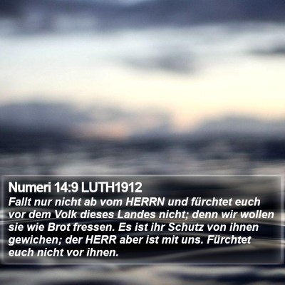 Numeri 14:9 LUTH1912 Bible Verse Image