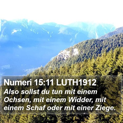 Numeri 15:11 LUTH1912 Bible Verse Image