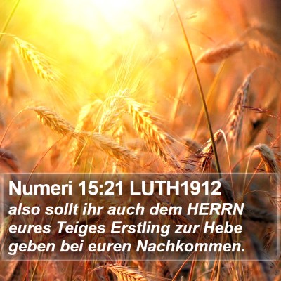 Numeri 15:21 LUTH1912 Bible Verse Image