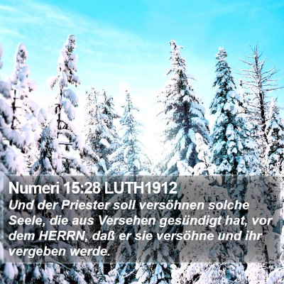 Numeri 15:28 LUTH1912 Bible Verse Image