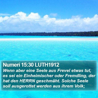 Numeri 15:30 LUTH1912 Bible Verse Image