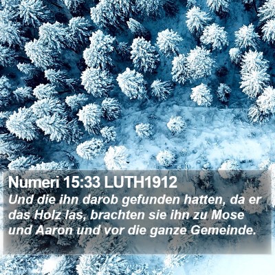 Numeri 15:33 LUTH1912 Bible Verse Image