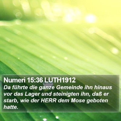 Numeri 15:36 LUTH1912 Bible Verse Image