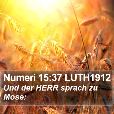 Numeri 15:37 LUTH1912 Bible Verse Image