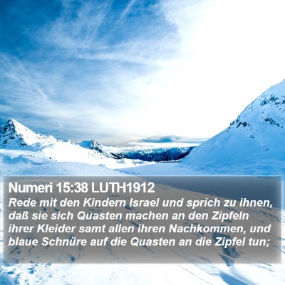 Numeri 15:38 LUTH1912 Bible Verse Image