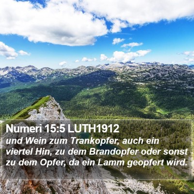 Numeri 15:5 LUTH1912 Bible Verse Image