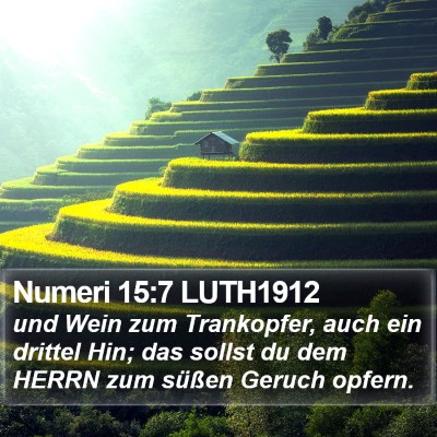Numeri 15:7 LUTH1912 Bible Verse Image