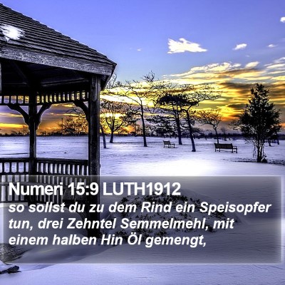 Numeri 15:9 LUTH1912 Bible Verse Image