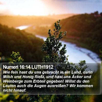 Numeri 16:14 LUTH1912 Bible Verse Image