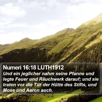 Numeri 16:18 LUTH1912 Bible Verse Image