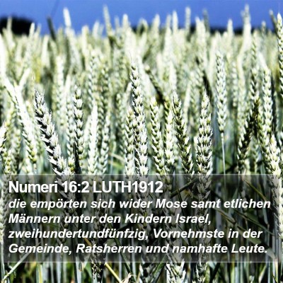 Numeri 16:2 LUTH1912 Bible Verse Image