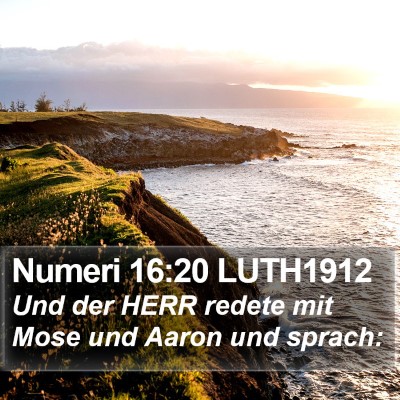 Numeri 16:20 LUTH1912 Bible Verse Image