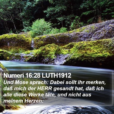 Numeri 16:28 LUTH1912 Bible Verse Image