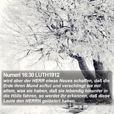 Numeri 16:30 LUTH1912 Bible Verse Image