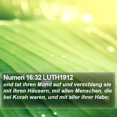 Numeri 16:32 LUTH1912 Bible Verse Image