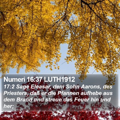 Numeri 16:37 LUTH1912 Bible Verse Image