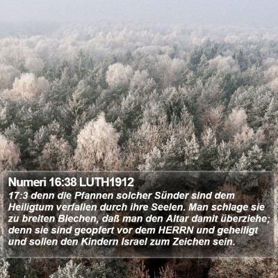 Numeri 16:38 LUTH1912 Bible Verse Image