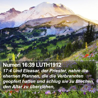 Numeri 16:39 LUTH1912 Bible Verse Image